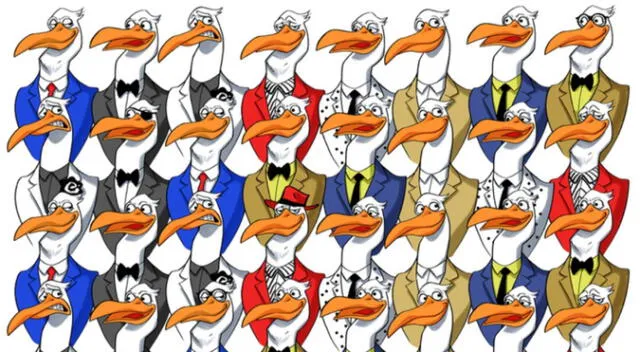 ¿Ves al pingüino entre los pelícanos? Si no logras cantar victoria no eres INTELIGENTE
