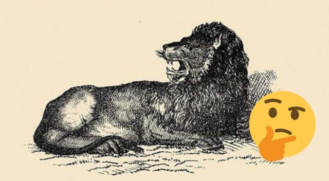 ¿Dónde esta el cuidador del león? Solo los más INTELIGENTES superaron este reto visual ¿Dónde esta el cuidador del león? Solo los más INTELIGENTES superaron este reto visual