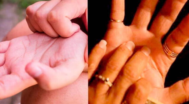 Conoce el verdadero significado que te pique la palma de la mano izquierda. Conoce el verdadero significado que te pique la palma de la mano izquierda.