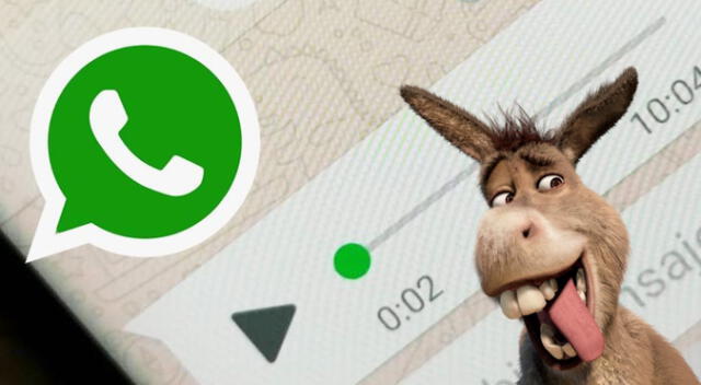 Si eres fanático de Shrek no te pierdas este super truco