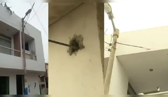 Construye casa encima de cable de luz y ahora teme a que pase alguna tragedia