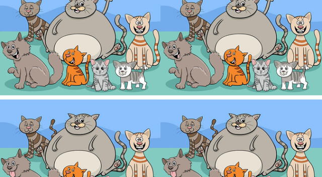 Con tu visión de halcón ubica las 7 diferencias en este reto visual