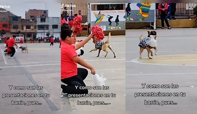 Un perrito fue la verdadera sensación de un presentación por Fiestas Patrias.