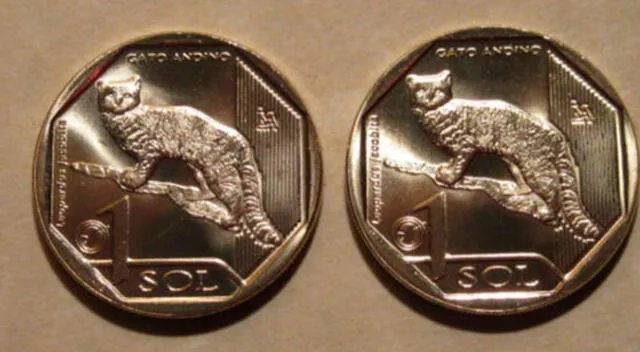 Moneda de 1 sol con diseño de Gato Andino estaría costando más de 40 soles