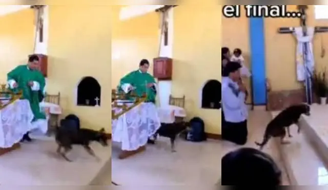 Sacerdote patea a perrito en medio de una misa y genera indignación en TikTok