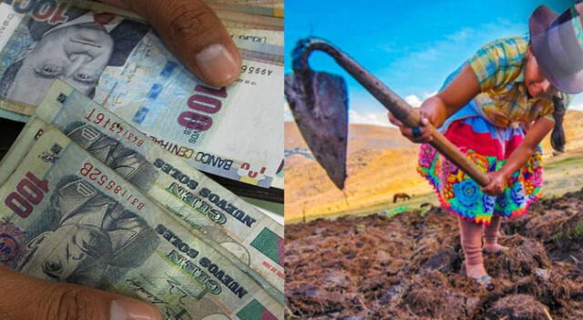 Bono Wanuchay: ¿Cómo saber si fui beneficiado con este subsidio?