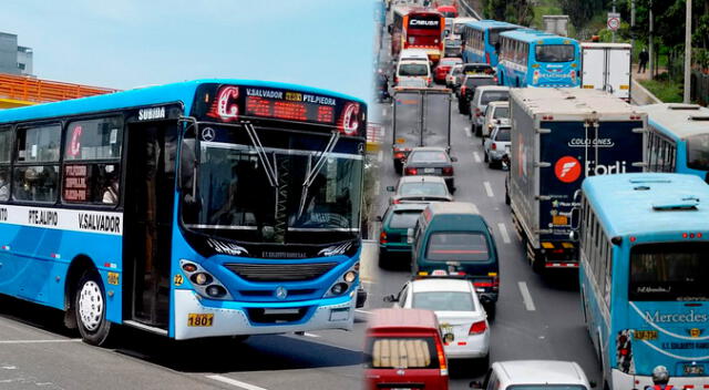 Conoce qué empresa de transporte público recorre más de 100 km. Conoce qué empresa de transporte público recorre más de 100 km.