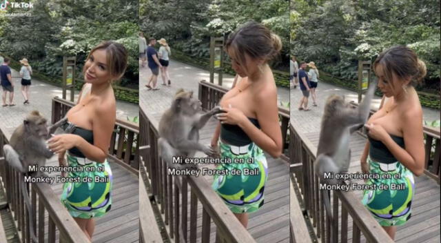 Paula Manzanal fue agredida por un mono que intentó quitarle su blusa. Paula Manzanal fue agredida por un mono que intentó quitarle su blusa.
