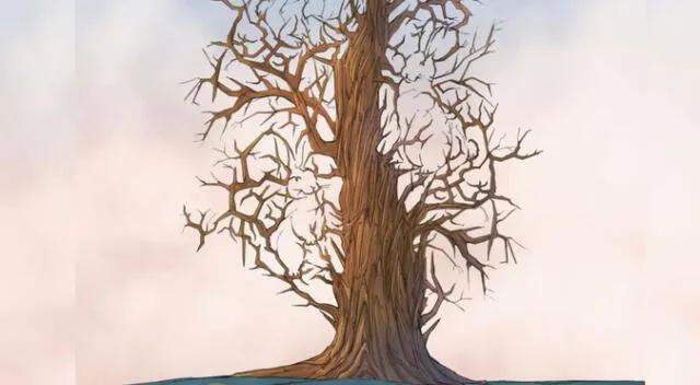 ¿Qué animales se esconden en el árbol? Pon a prueba tus habilidades en esta ilusión óptica