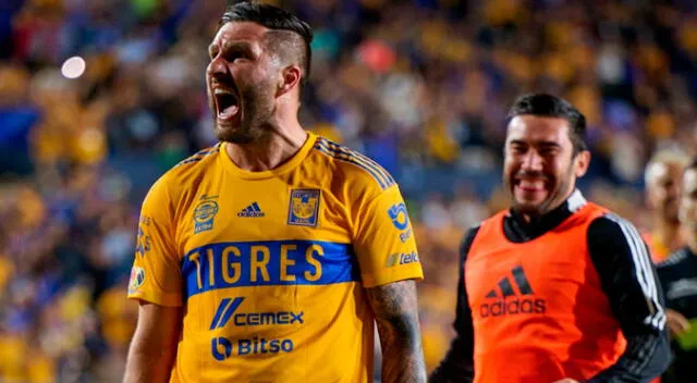 Tigres derrotó 2-0 a Necaxa y clasificó a la Liguilla final de la Liga MX Tigres derrotó 2-0 a Necaxa y clasificó a la Liguilla final de la Liga MX