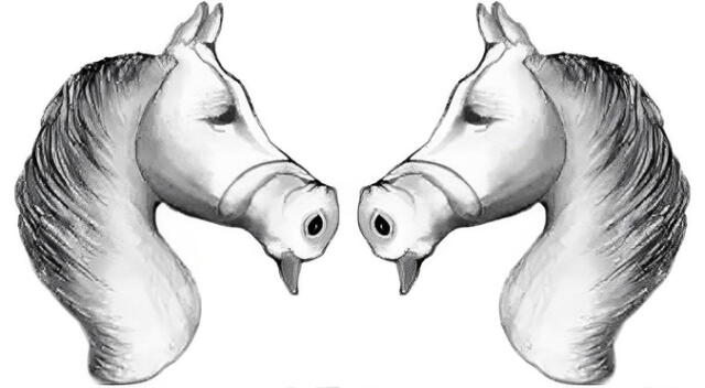 ¿Cuántos animales hay en esta imagen? Resuelve este reto visual EXTREMO en 8 segundos ¿Cuántos animales hay en esta imagen? Resuelve este reto visual EXTREMO en 8 segundos