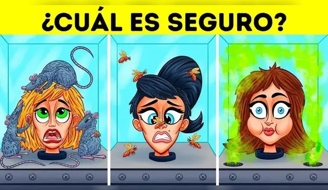 Dinos que caja es la más segura y conságrate un verdadero EXPERTO