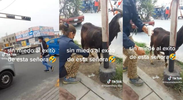 Una mujer se volvió tendencia por usar a su cabra para vender leche Una mujer se volvió tendencia por usar a su cabra para vender leche