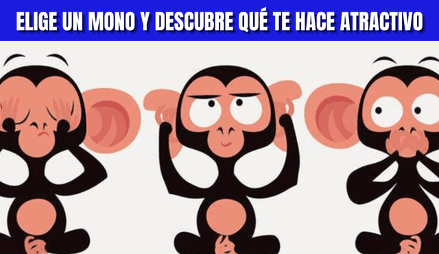 Test de personalidad: Elige un mono y descubre cuál es tu mejor atractivo