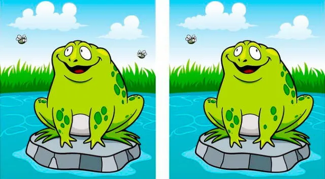 Tienes 7 segundos para hallar las 5 diferencias del reto.