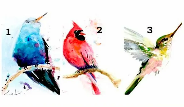 Piensa bien tu respuesta y escoge el ave que más te guste de este test de personalidad.