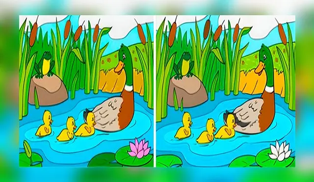 Si cuentas con habilidades superiores a los demás podrás resolver este reto visual en poco tiempo.