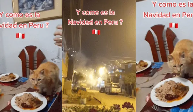 Familia casi pierde su cena navideña por gato que comió de su pavo Familia casi pierde su cena navideña por gato que comió de su pavo