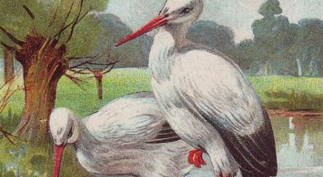 La pintura de las garzas esconde un niño que deberás ubicarlo en 7 segundos.