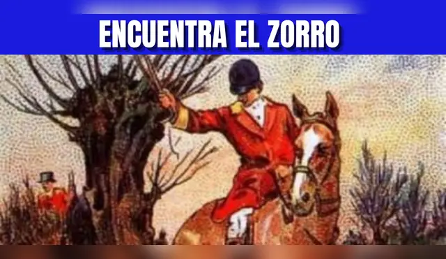 Reto visual EXTREMO: Ubica la zorro en 5 segundos o menos y demuestra que eres el mejor