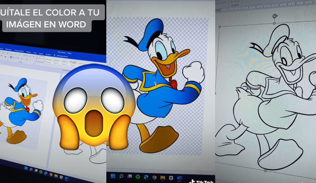 El 'truco' viene causando sensación en las redes sociales, ya que muestra una función que muy pocos conocían.