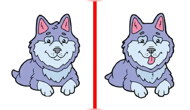 Solo cuentas con una oportunidad para desarrollar este nuevo reto visual.