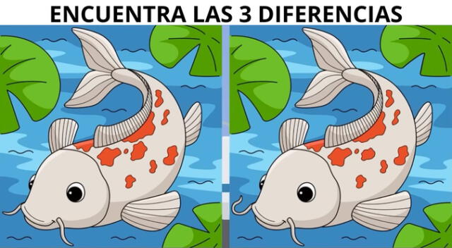 Atrévete a resolver uno de los retos visuales más complicados en Internet.