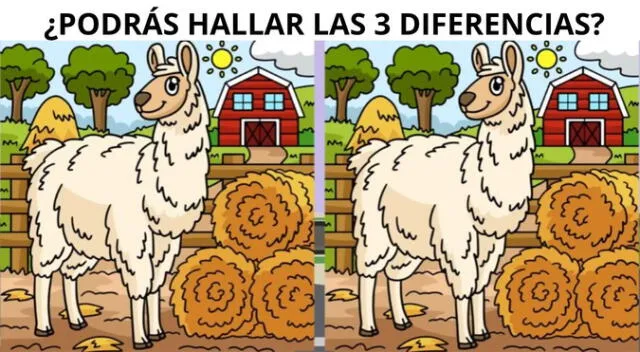 Resuelve este nuevo reto visual nivel EXTREMO en 10 segundos.