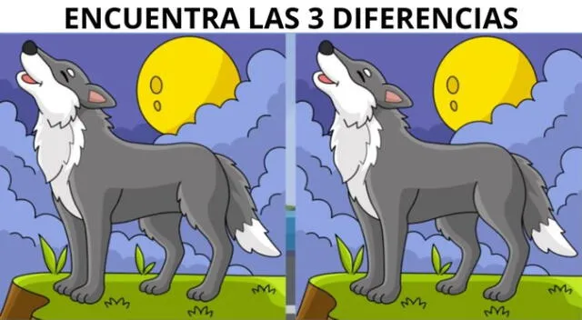 Intenta superar este nuevo desafío en tiempo récord.