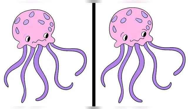 Tienes 7 segundos para resolver exitosamente este reto visual, ¿lo lograrás?