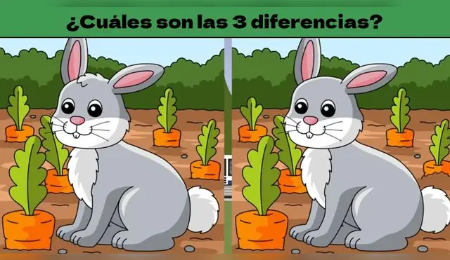 Solo si eres un genio, podrás resolver en tiempo récord esta confusa prueba