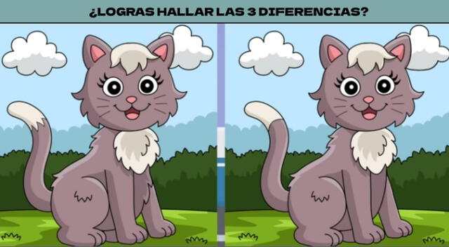 Solo si eres brillante, podrás encontrar las 3 diferencias. Solo si eres brillante, podrás encontrar las 3 diferencias.