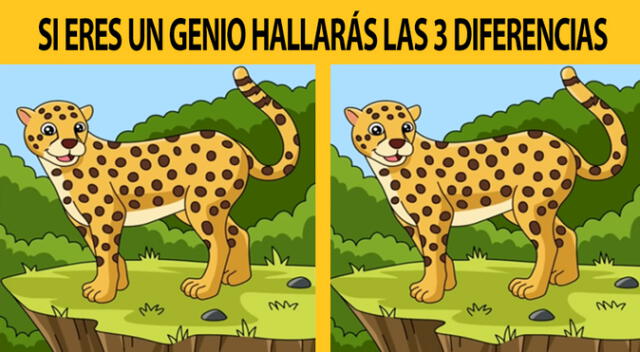 Demuestra que eres un 'crack' y supera este reto visual en el primer intento.