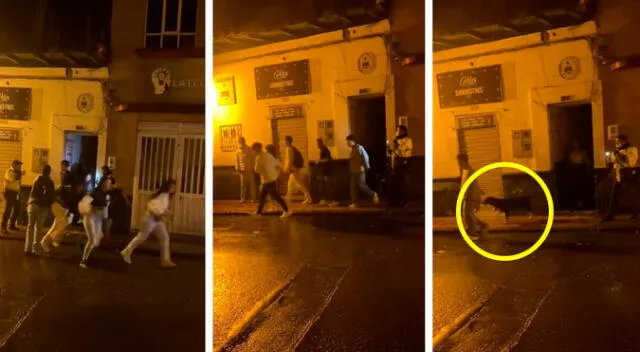 "Firulais tiene más vida fiestera que yo", fue uno de los comentarios que dejó un usuario en TikTok. "Firulais tiene más vida fiestera que yo", fue uno de los comentarios que dejó un usuario en TikTok.