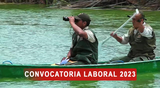 Conoce todos los detalles de la convocatoria de trabajo para el Sernanp 2023. Conoce todos los detalles de la convocatoria de trabajo para el Sernanp 2023.