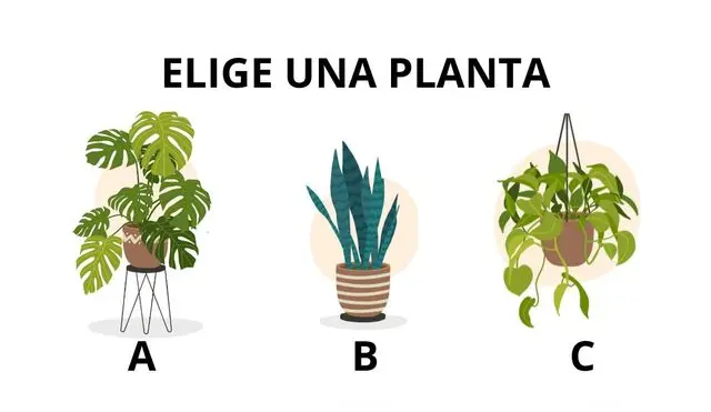 ¿Listo para conocer lo que tu elección dice sobre ti?