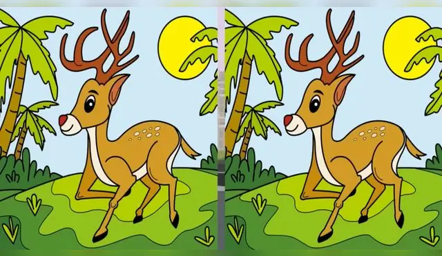 Activa tus sentidos y desarrolla en poco tiempo este nuevo reto visual.