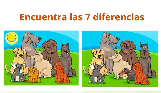 Tendrás que agilizar tu vista para dar con las diferencias entre los perritos.