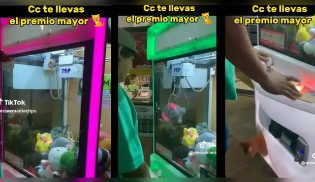 Se llevó tremendo premio al sacar peluche de máquina dispensadora y es furor en TikTok.