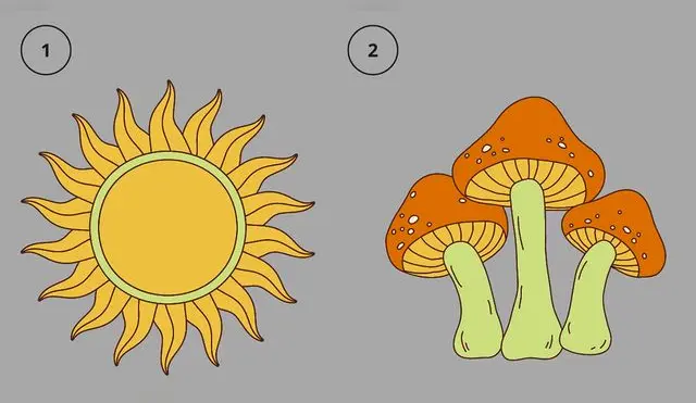 Para obtener un acertado resultado de este TEST VISUAL, tienes que decidir por el sol o el hongo.