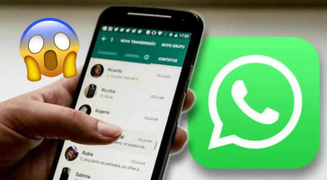 La guía definitiva para descargar estados de WhatsApp de mis contactos rápidamente.