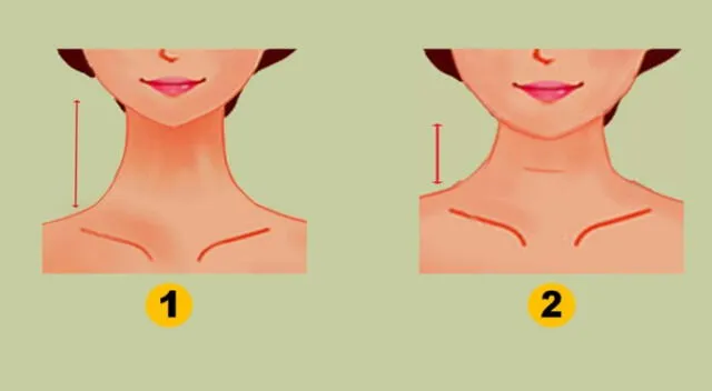 La forma de tu cuello puede determinar diversas cualidades en ti. La forma de tu cuello puede determinar diversas cualidades en ti.