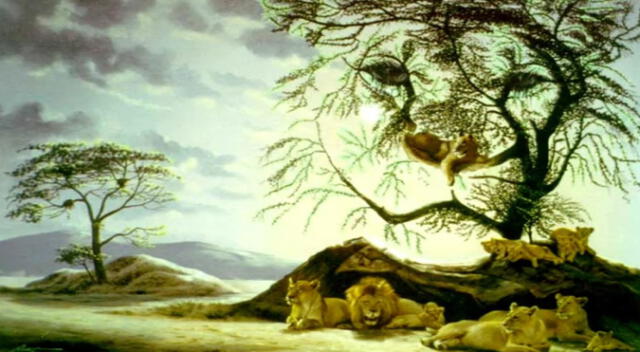 Dependiendo de la cantidad de leones que veas, conocerás tu edad mental. Dependiendo de la cantidad de leones que veas, conocerás tu edad mental.
