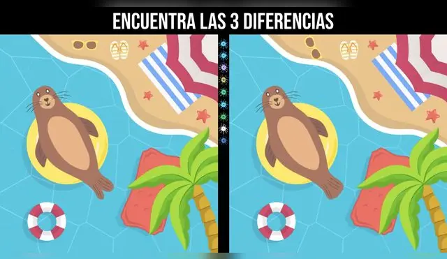 Agudiza tu vista y encuentra en tiempo récord los cambios en las focas.