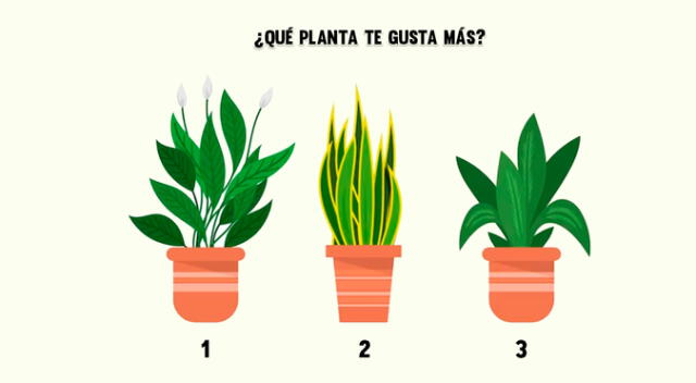 La opción que escojas en este test visual online te permitirá conocer detalles profundos de tu personalidad.