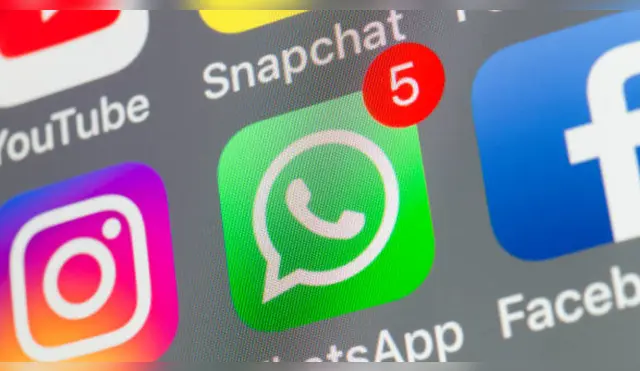 Con un cambio de configuración en WhatsApp podrás ahorrar espacio en tu celular