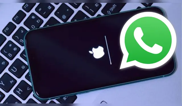 La nueva versión beta de WhatsApp para iPhone llega con una nueva sección