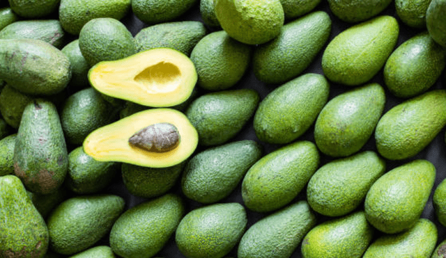 ¿Las personas pueden consumir el hueso de aguacate?