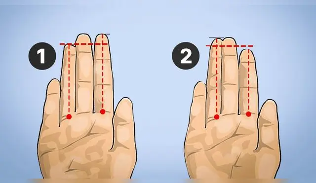 La opción que más te identifique dice mucho sobre tu forma de ser: resuelve el test viral.