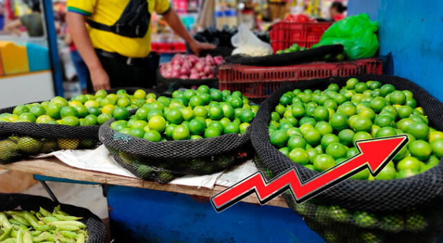 Conoce los precios que tiene el limón y diversas regiones del Perú. Conoce los precios que tiene el limón y diversas regiones del Perú.